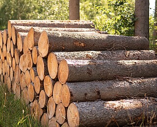 Achtsamer Umgang mit dem Rohstoff Holz