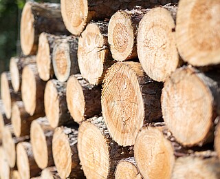 Rohstoff Holz als Baustoff