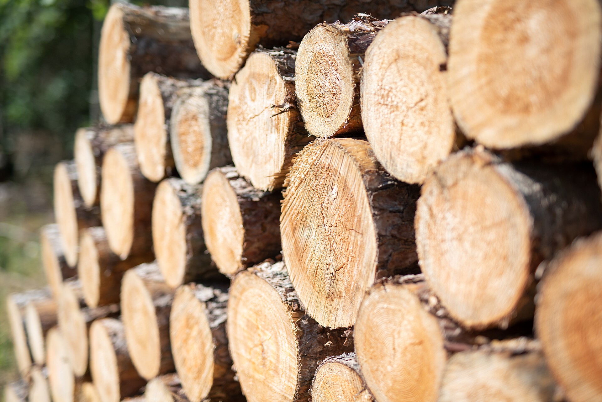 Holz als Baustoff - Hanse Haus Holz als Baustoff